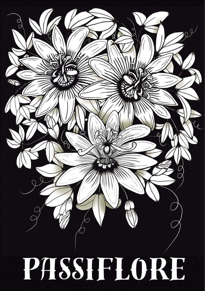 Illustration en noir et blanc d'une fleur de passiflore, détaillée et élégante. Tableau, coloriage pour enfants