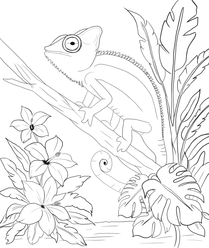 Dessin au trait fin représentant une composition artistique simple mais harmonieuse mêlant formes végétales et animale. Un joli caméléon se promène sur une branche. Page de coloriage