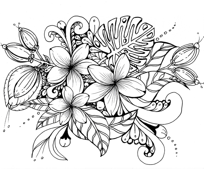 Detailed line drawing of exotic flowers and leaves.